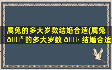 属兔的多大岁数结婚合适(属兔 🐳 的多大岁数 🌷 结婚合适女人)